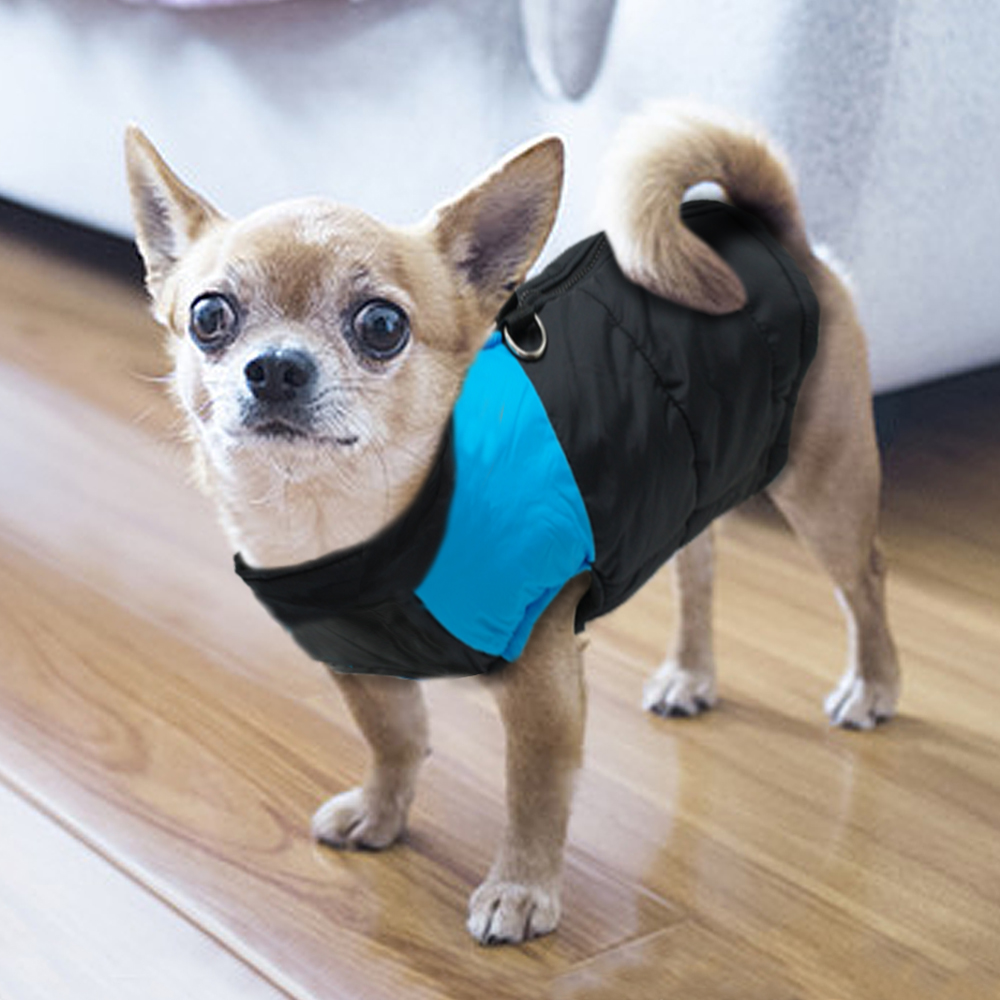 Hond Puppykleding Vestjas Chih - Winter Clothing Colors recensie en prijs
