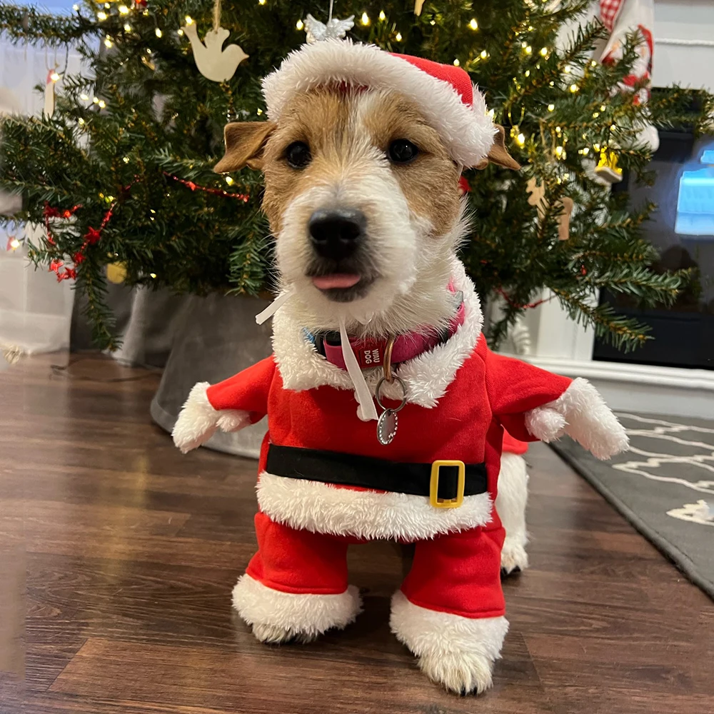 Kerstkleding voor honden Katte - Winter Clothing Dress Up recensie en prijs